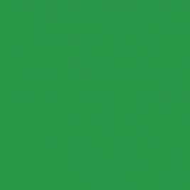 Process Icon